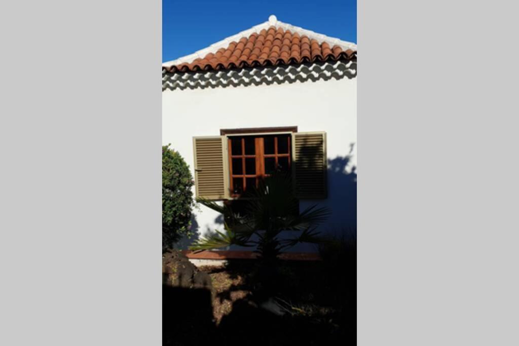 Villa La Paz Пуэрто-де-ла-Крус Экстерьер фото